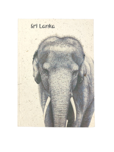 Notatnik papier z łajna słonia ELEPHANT DUNG Notes A5  wzory (3).png