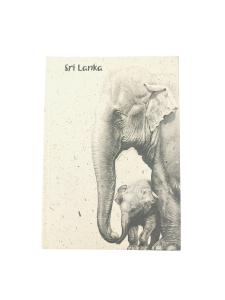 Notatnik papier z łajna słonia ELEPHANT DUNG Notes A5  wzory.png