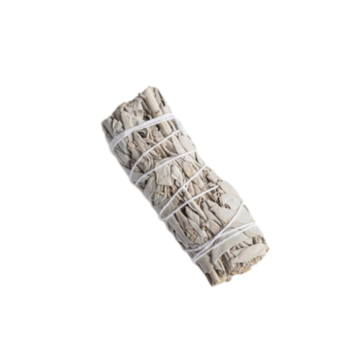 Untitled Project (10).png