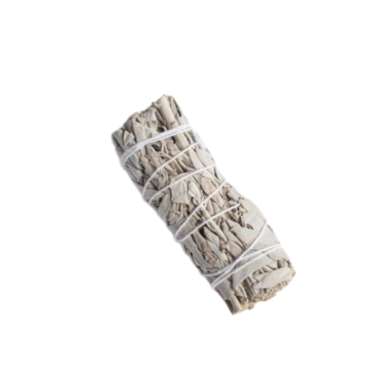 Untitled Project (10).png