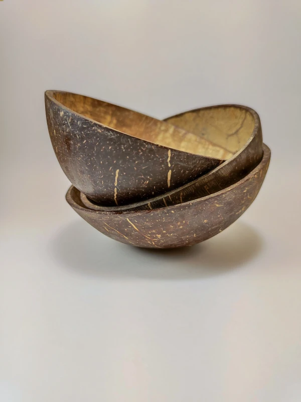 miska naturalna kokosowa.webp