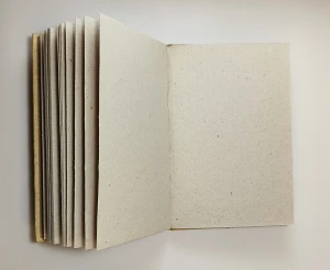 notatnik elephant dunk słoń1.webp