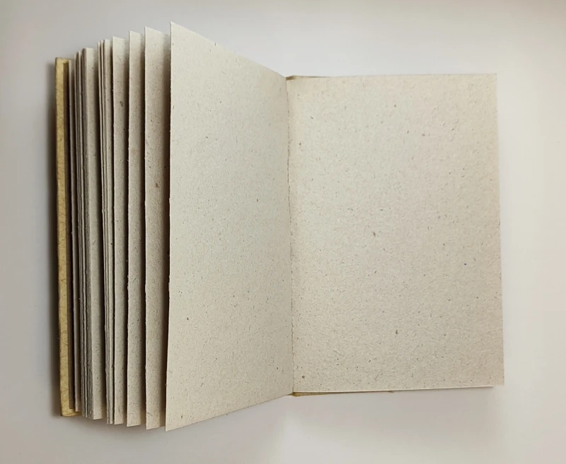 notatnik elephant dunk słoń1.webp