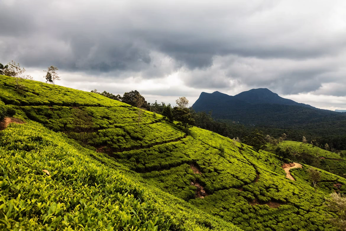 Natura i krajobraz Sri Lanki